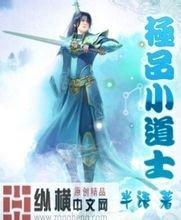 澳门精准正版免费大全14年新雇佣军小说